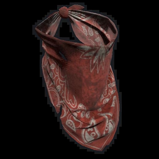 Bandana Mask Item