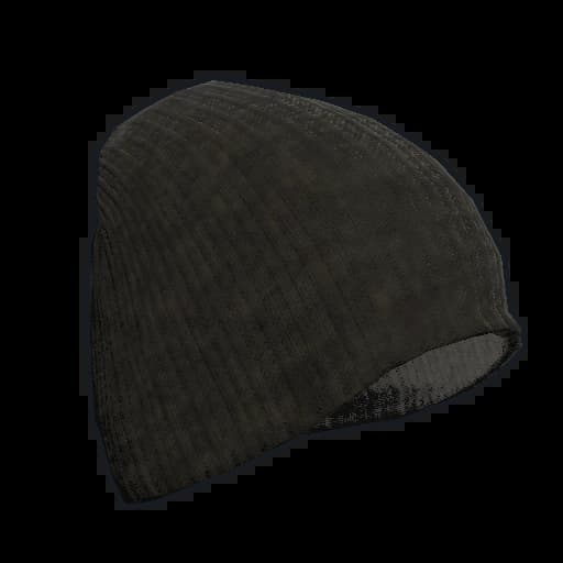 Beenie Hat Item