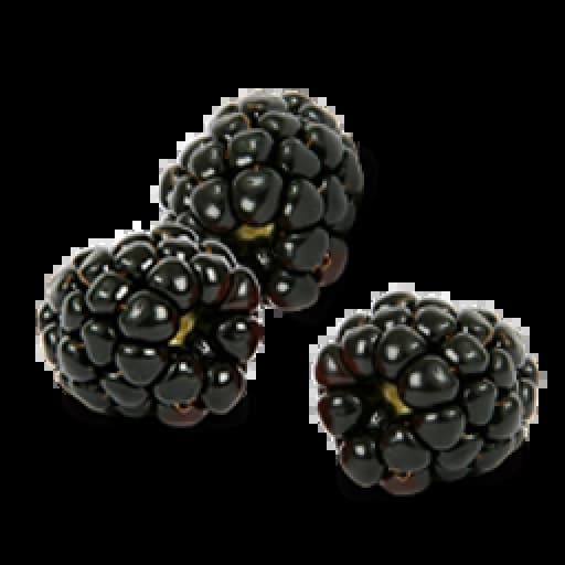 Black Raspberries Item