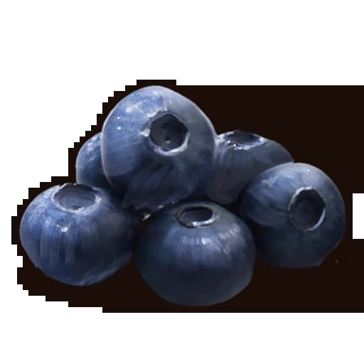 Blueberries Item