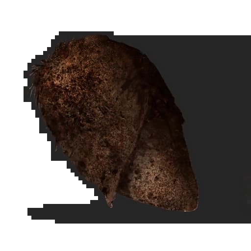 Burnt Horse Meat Item