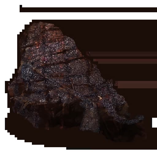 Burnt Wolf Meat Item