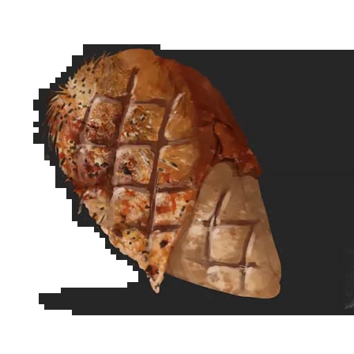 Cooked Chicken Item