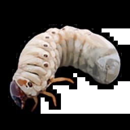 Grub Item