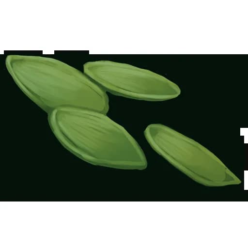 Hemp Seed Item