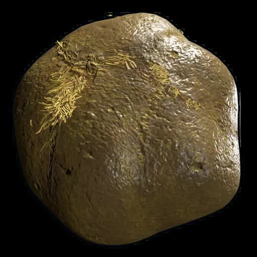 Horse Dung Item