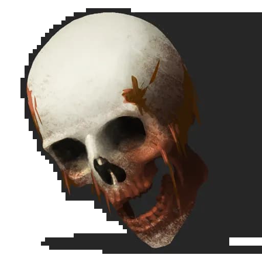Human Skull