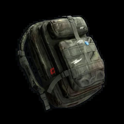 Large Backpack Item