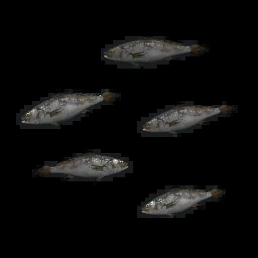 Minnows Item