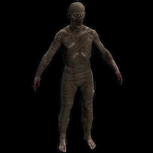Mummy Suit Item