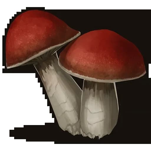 Mushroom Item