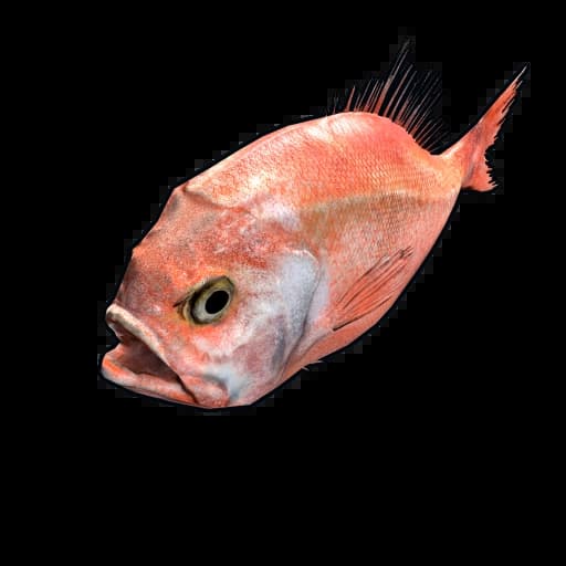 Orange Roughy Item