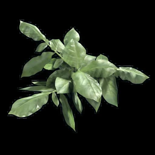 Potato Clone Item