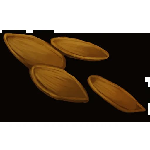 Pumpkin Seed Item