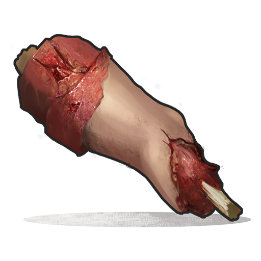 Raw Human Meat Item