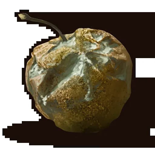 Rotten Apple Item