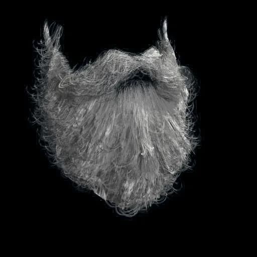 Santa Beard Item