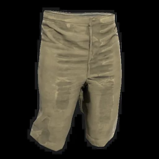 Shorts Item