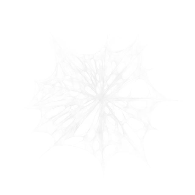 Spider Webs Item
