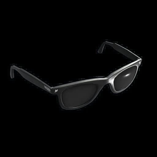 Sunglasses Item