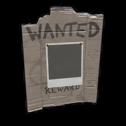 Wanted Poster Item