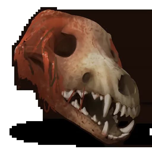 Wolf Skull Item