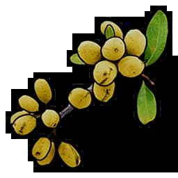 Yellow Berry Item